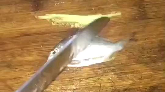 一夜鏖战就一条鱼